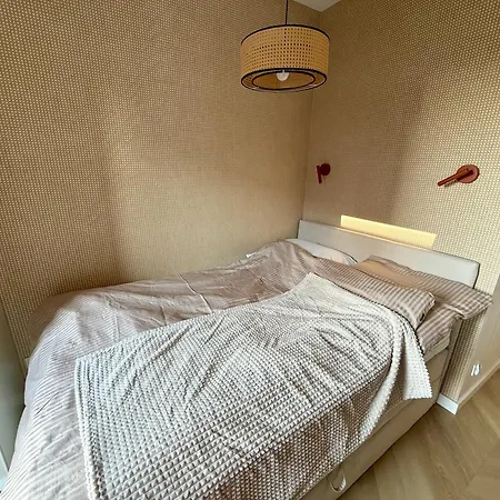 Faro By Comfort